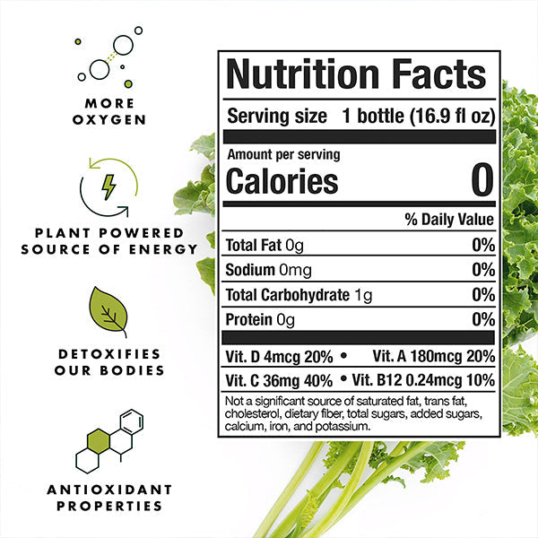Chlorophyll Water® (Case of 12): Purified Mountain Spring Water with Essential Vitamins