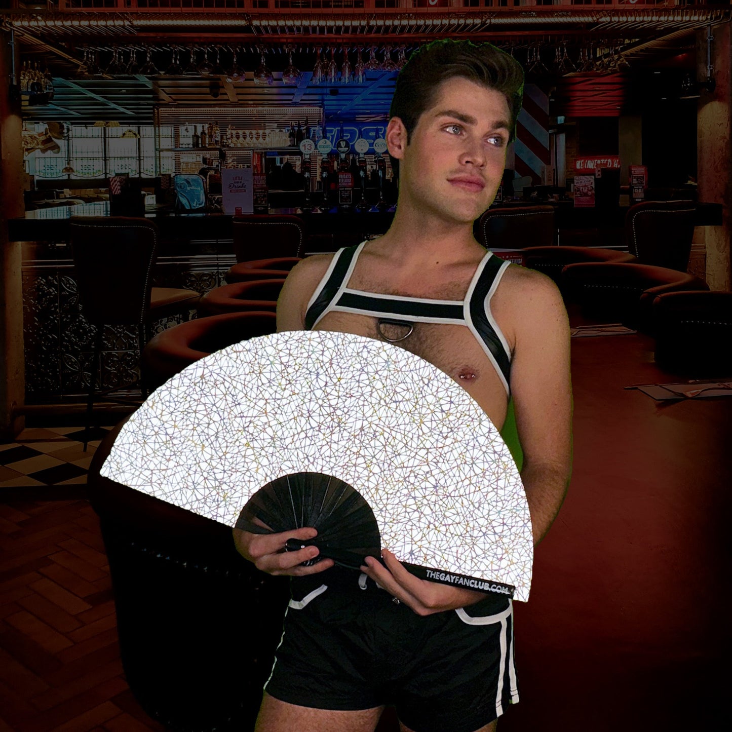 Discoteca Fan