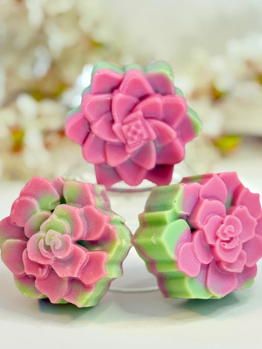 Citrus Succulent 🌿 | Botanical Clay Soap Bar
