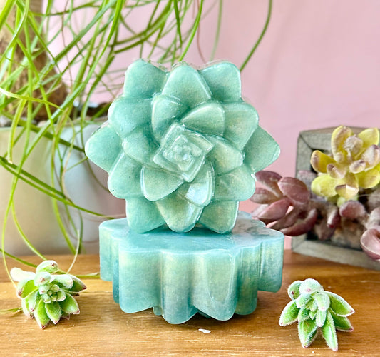 🌿 Evergreen Succulent – Vetiver & Bergamot