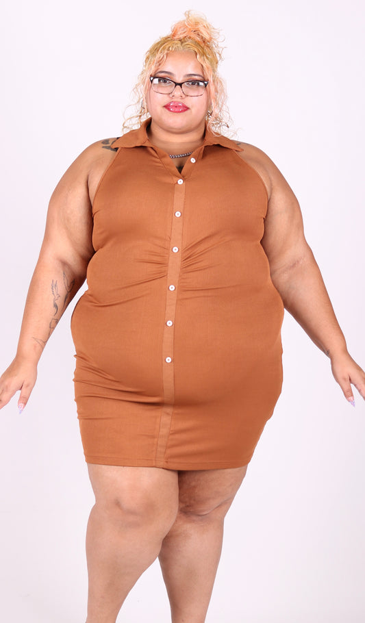 “Having My Way” Mini Dress