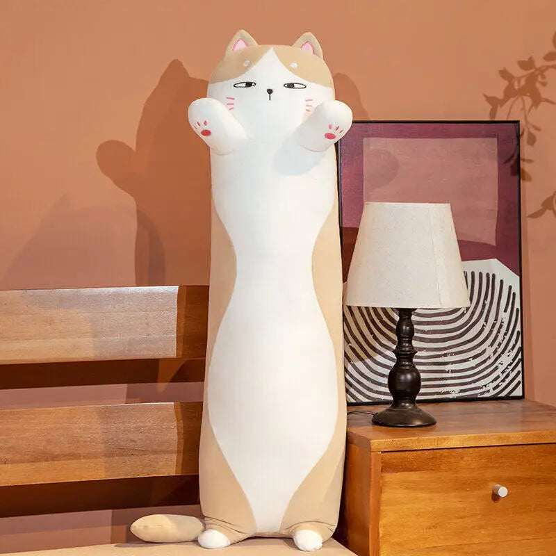 Jeremiah - Soft and cuddly long cat