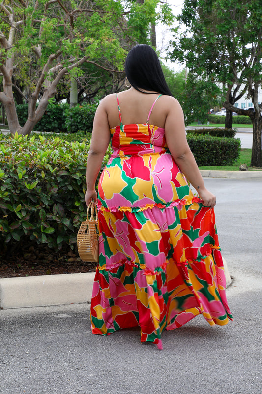 Miss Miami Multi Color Dress