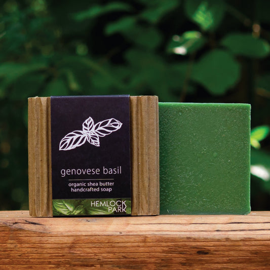 Genovese Basil | Organic Shea Butter Soap