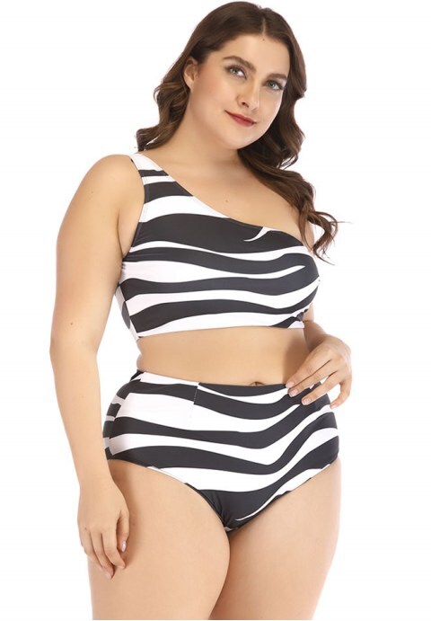 Zebra Print Two Piece Swimsuit
