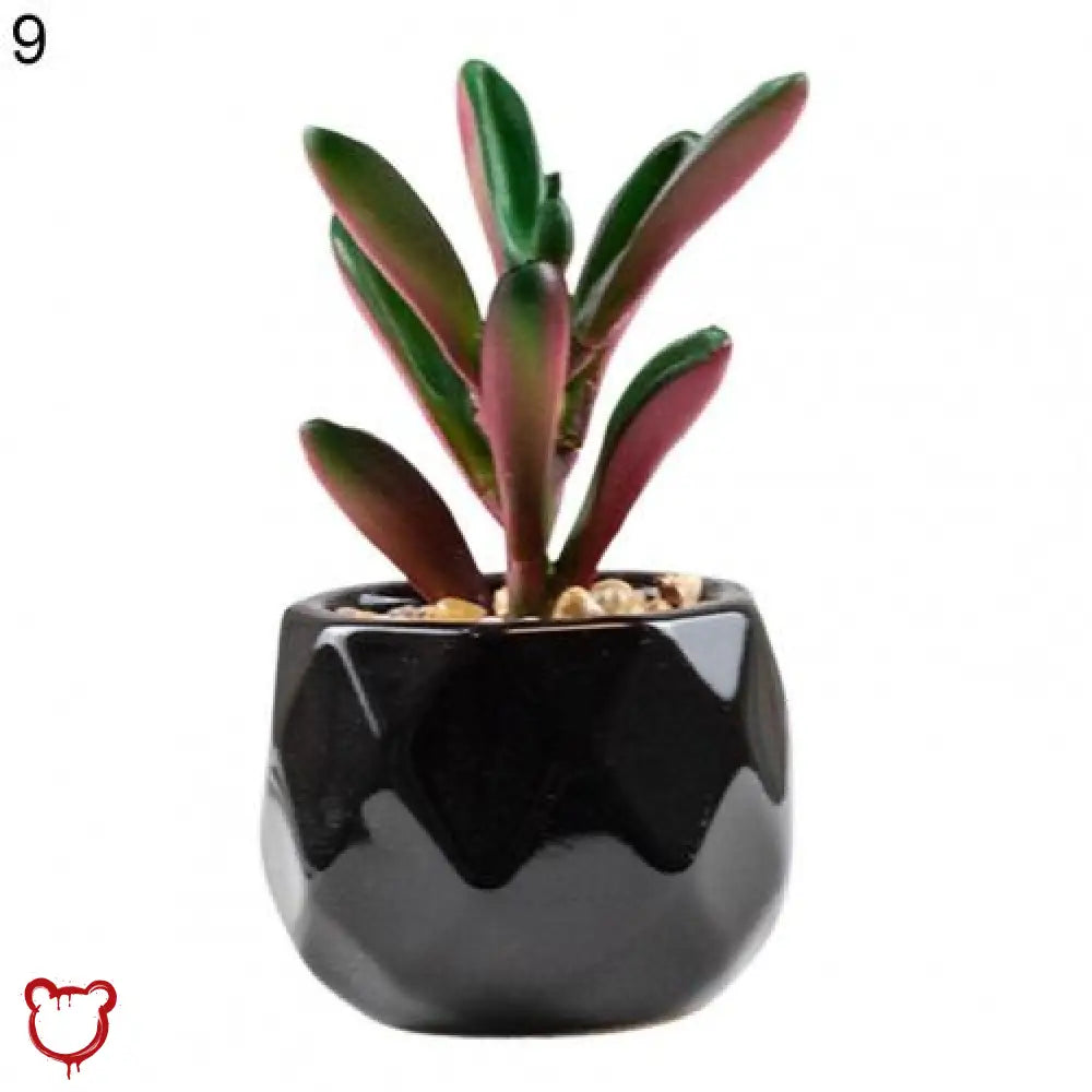 Black Pot Succulent in 11 Designs