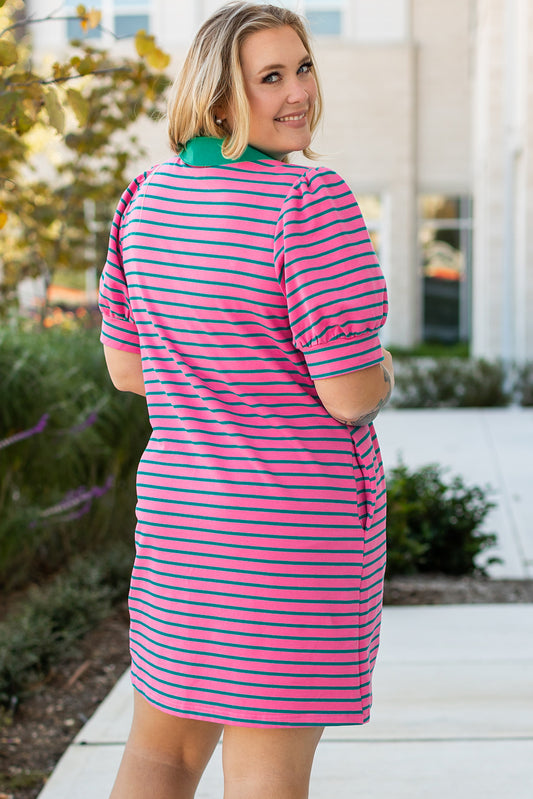 Rose Stripe Collared V Neck Puff Sleeve T Shirt Dress w/ Pockets