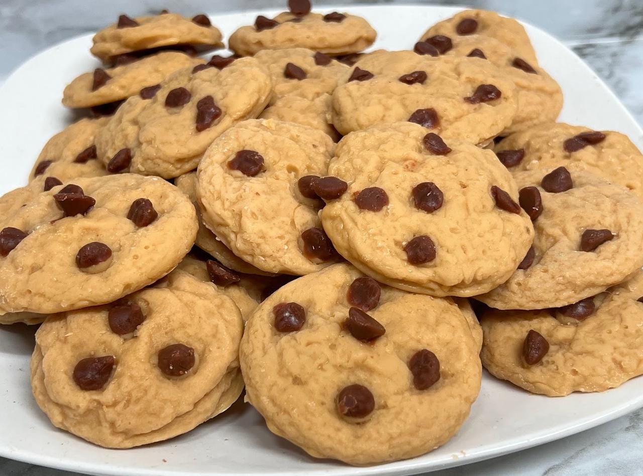 CHOCOLATE CHIP COOKIES Realistic Wax Melts | Fake Food | Wax Tarts
