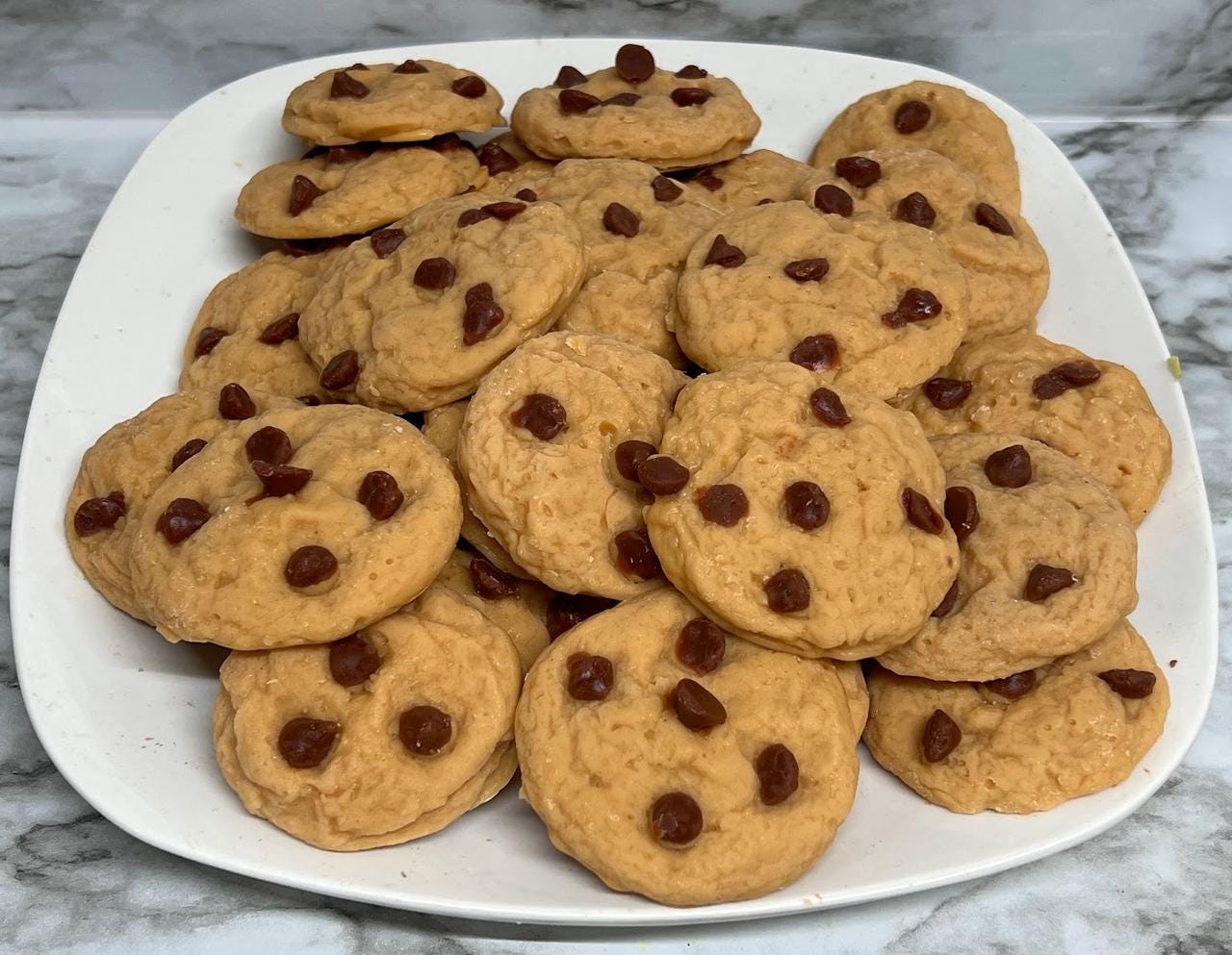 CHOCOLATE CHIP COOKIES Realistic Wax Melts | Fake Food | Wax Tarts