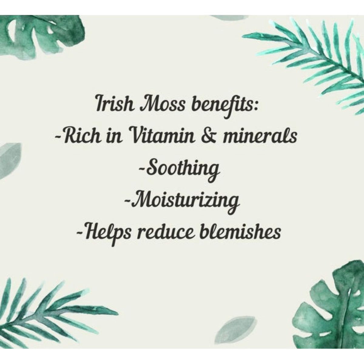 Irish Moss & Soothing Calendula Body Oil