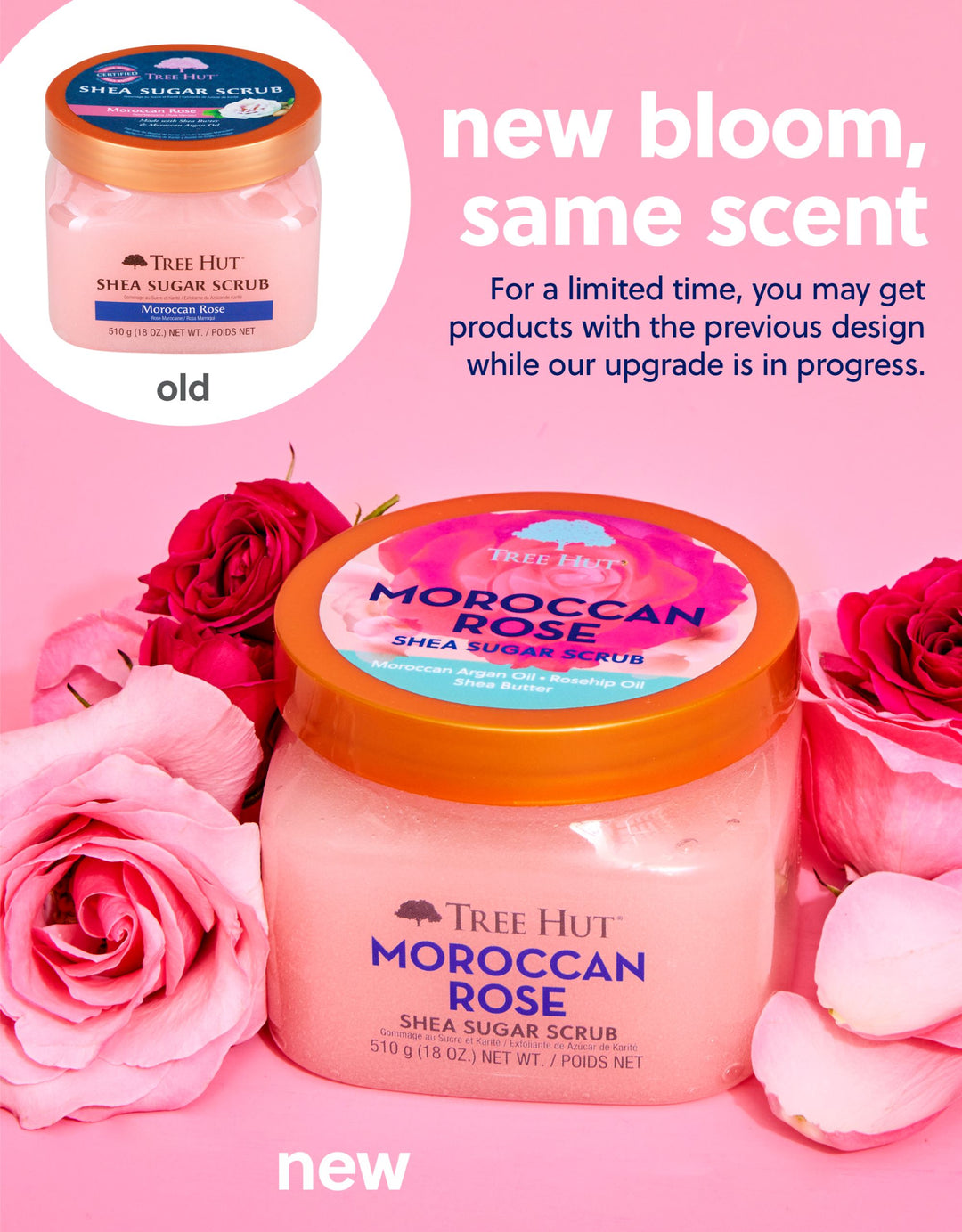 Body Scrub Moroccan Rose Tree Hut Scrub pack of 2)