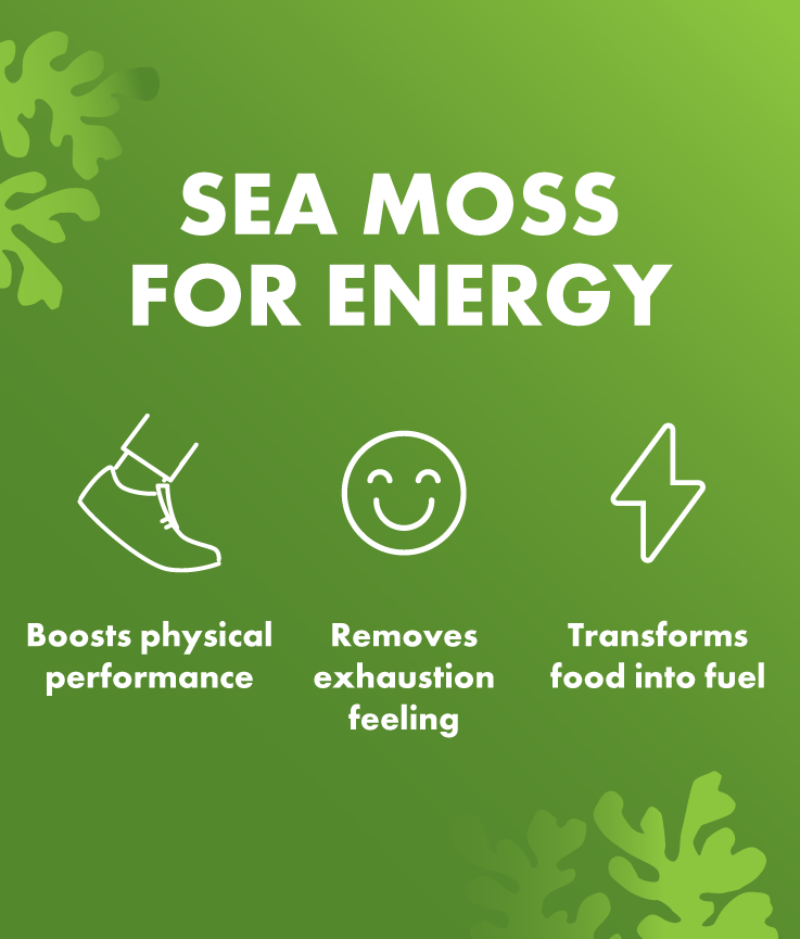 Sea Moss Gummies