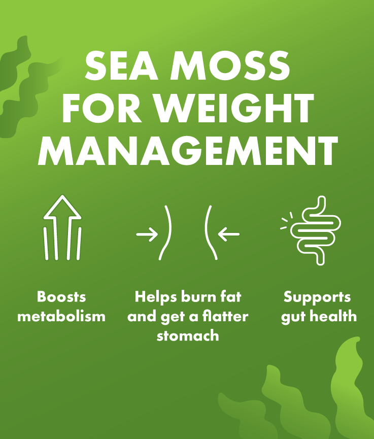Sea Moss Gummies