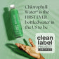 Chlorophyll Water® (Case of 12): Purified Mountain Spring Water with Essential Vitamins