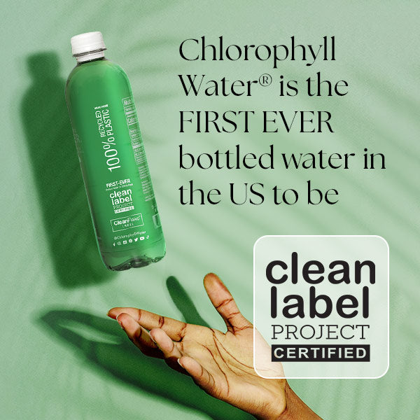 Chlorophyll Water® (Case of 12): Purified Mountain Spring Water with Essential Vitamins