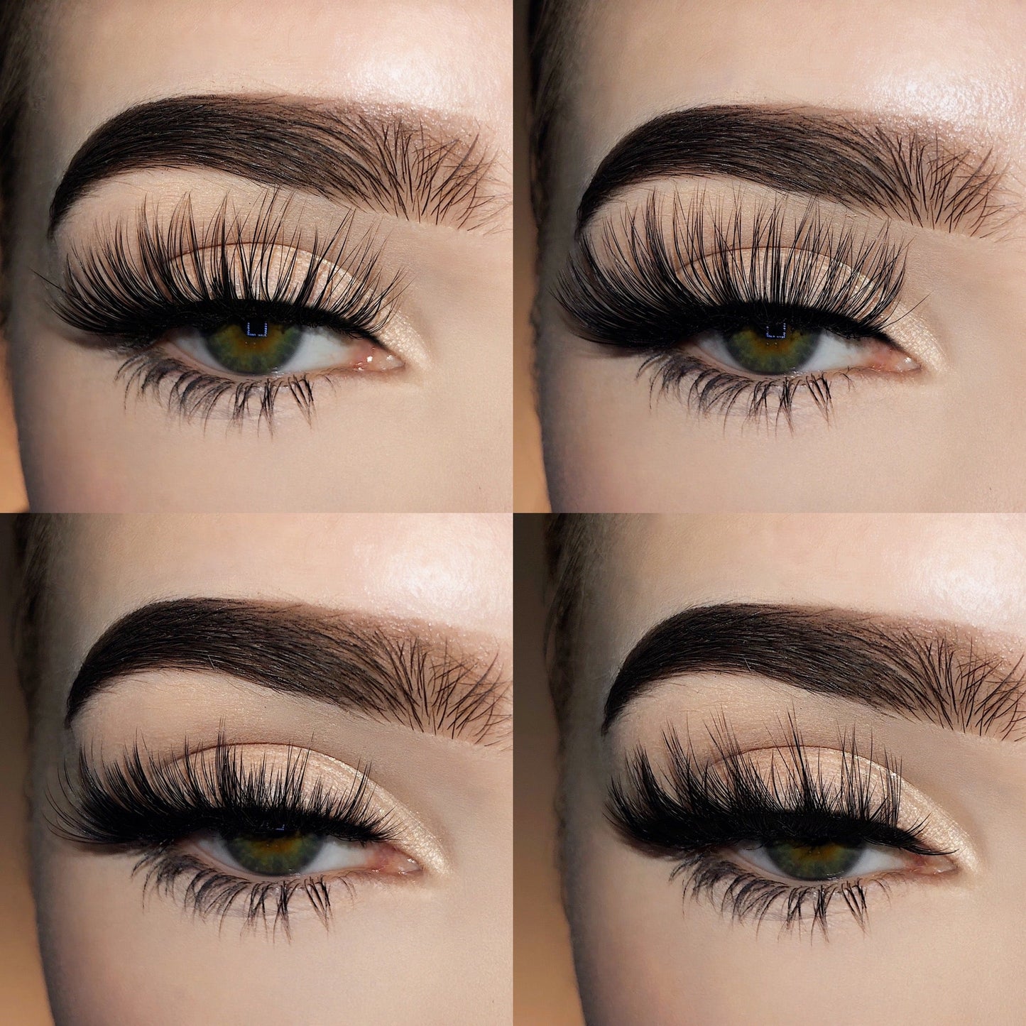 Suzette B. Collection 4-Pack