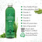 Chlorophyll Water® (Case of 12): Chlorophyll & Ultra-Purified Water with Essential Vitamins A, B12, C and D3