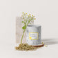 Ceramics Bundle: Set of 3