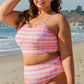 Pink Plaid Print High Waist Bikini Set