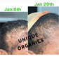 Temple & Hairline Recovery Oil