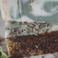 Lavender Sage  Handmade Organic Soap
