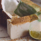 Lime in de Coconut Organic Handmade Soap