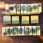 August Server Soap of the Month: Succulent Bar – Liezl Edition Garden Mint + Soursop Infused