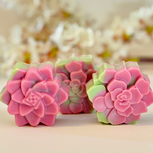 Citrus Succulent 🌿 | Botanical Clay Soap Bar
