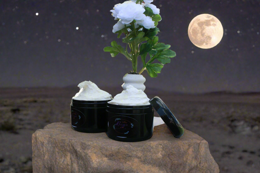 Midnight Bloom