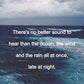 Midnight Surf
