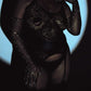 Pure Obsession Suspender Bodystocking