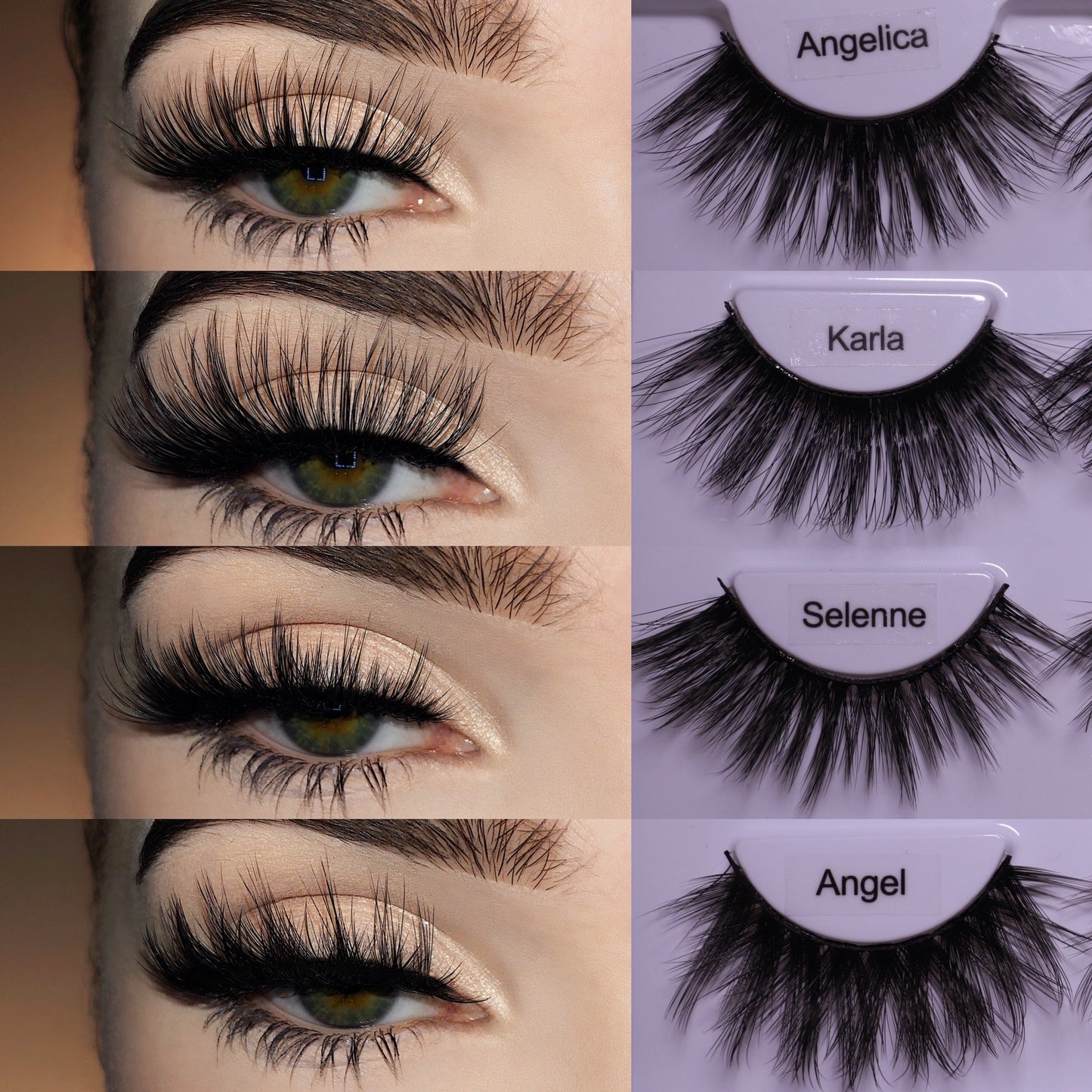 Suzette B. Collection 4-Pack