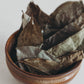 Soursop Leaf