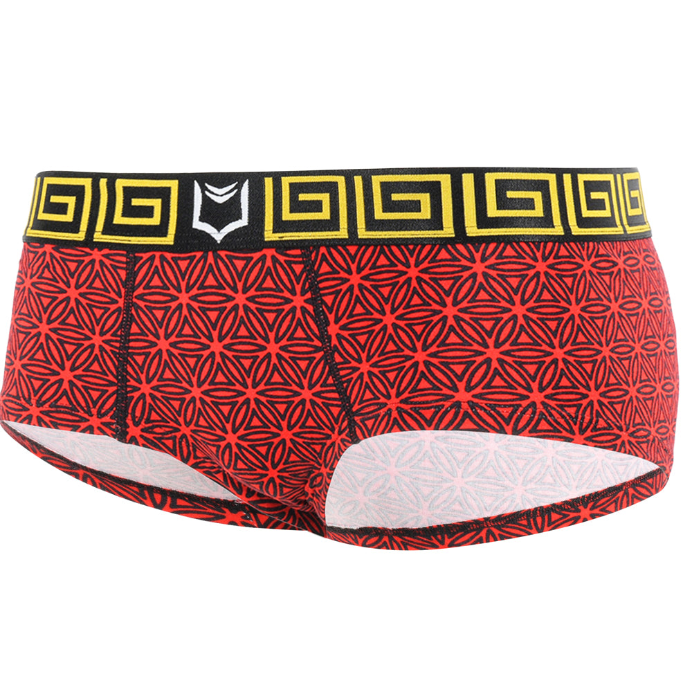 Women's Cheeky Boyshorts