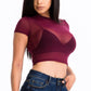 Sexy Mesh Sheer Short Sleeve Crop Top
