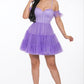 “Ruffle Sum Feathers” Mini Dress