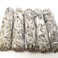 California White Sage 7"L Bundle