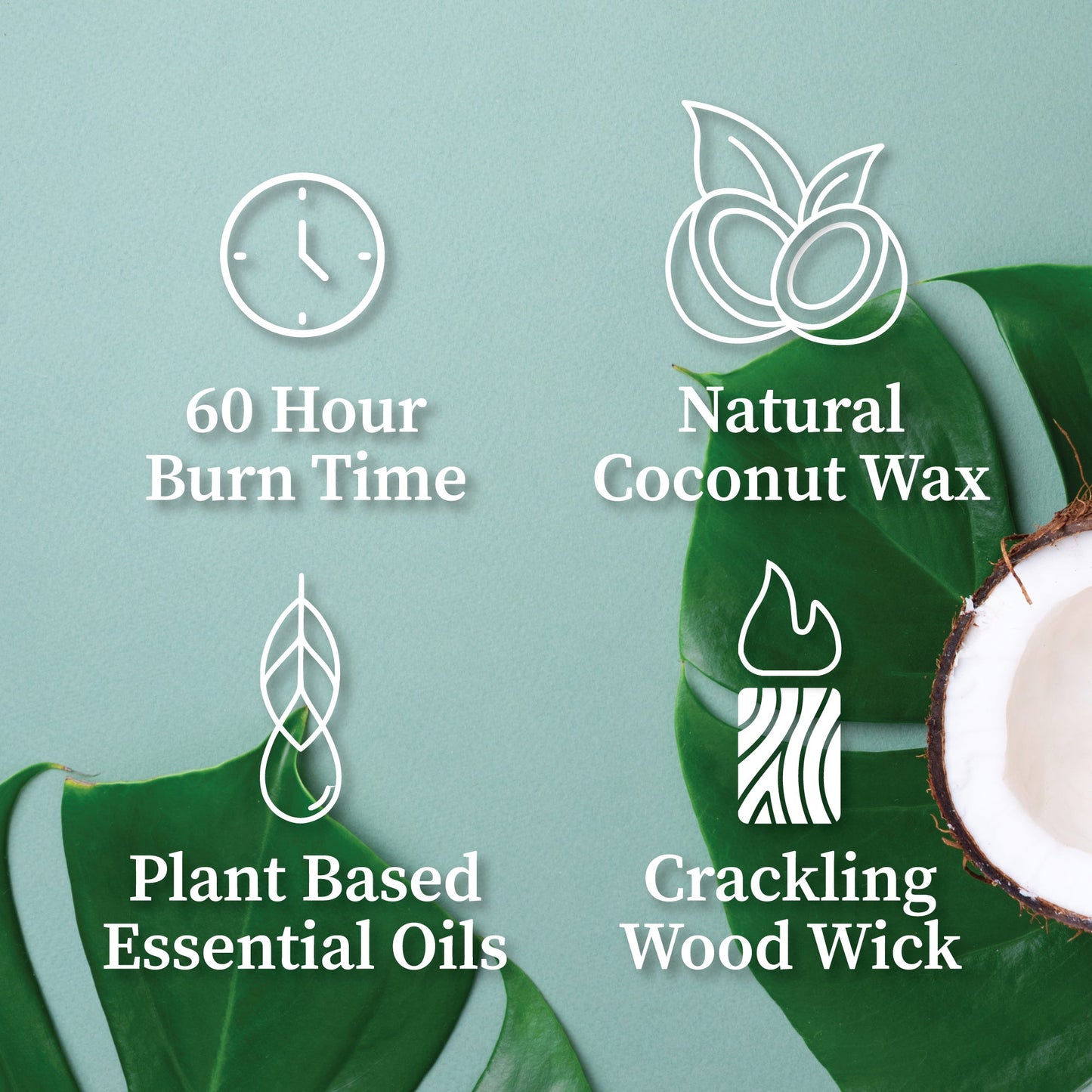 Teakwood | Wood Wick Candle with Natural Coconut Wax