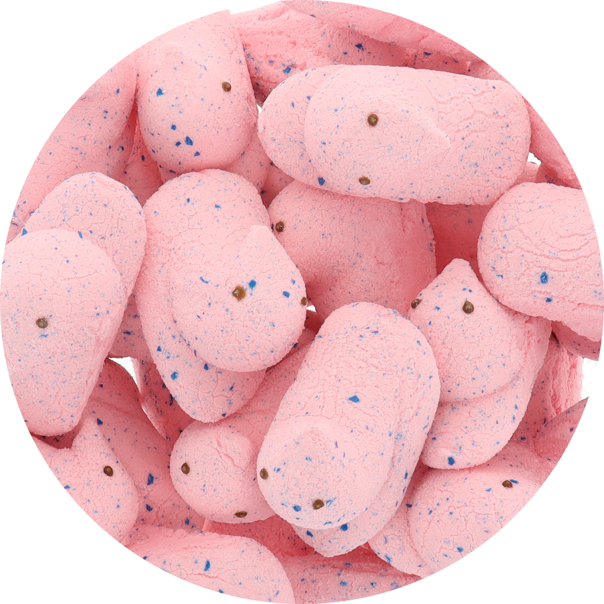 Freeze Dried Marshmallow Chicks