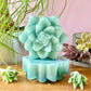 🌿 Evergreen Succulent – Vetiver & Bergamot