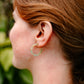 Cam Mini Hoops - Champagne Mint
