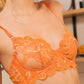 Orange Floral Embroidery Lingerie Set