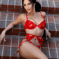Luxurious Fancy Sexy Lingerie Set