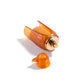 FAKHAR AL BILAD AMBER EDP 100ML