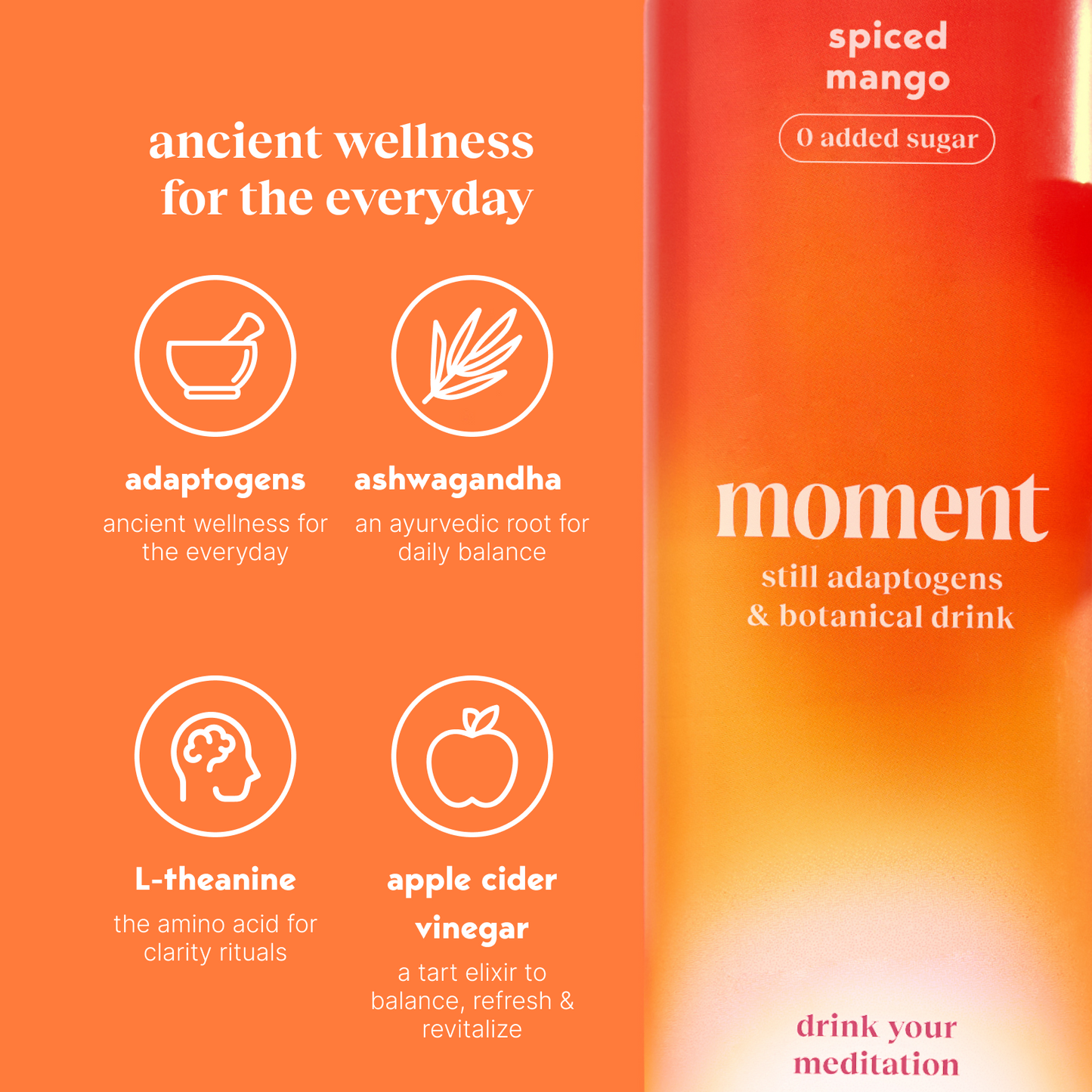 spiced mango (botanical tea | 12 pack)