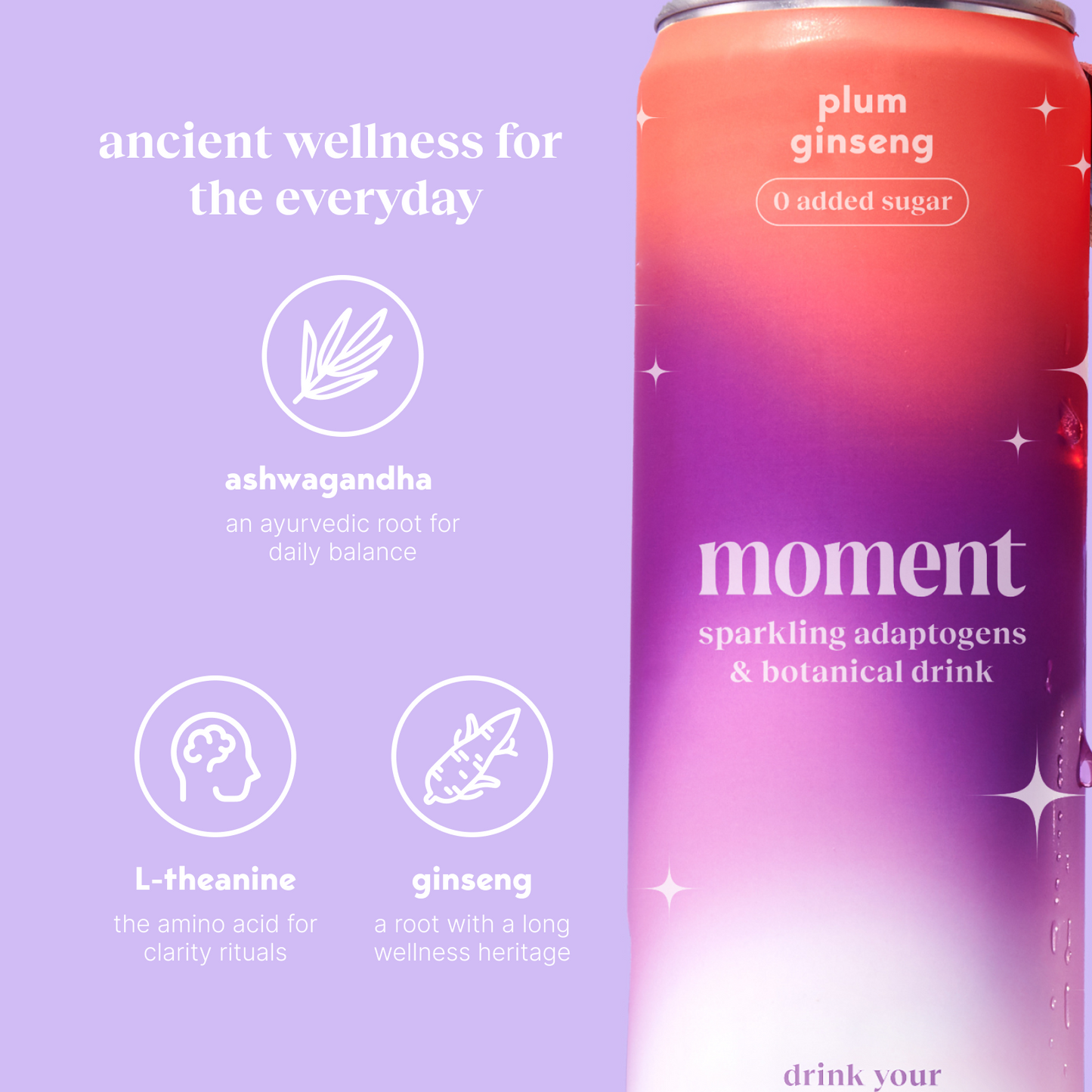 plum spritz (sparkling mocktail | 12 pack)