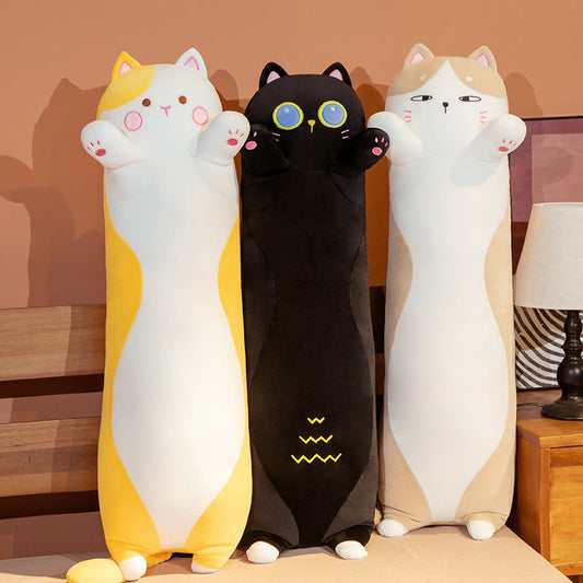 Jeremiah - Soft and cuddly long cat