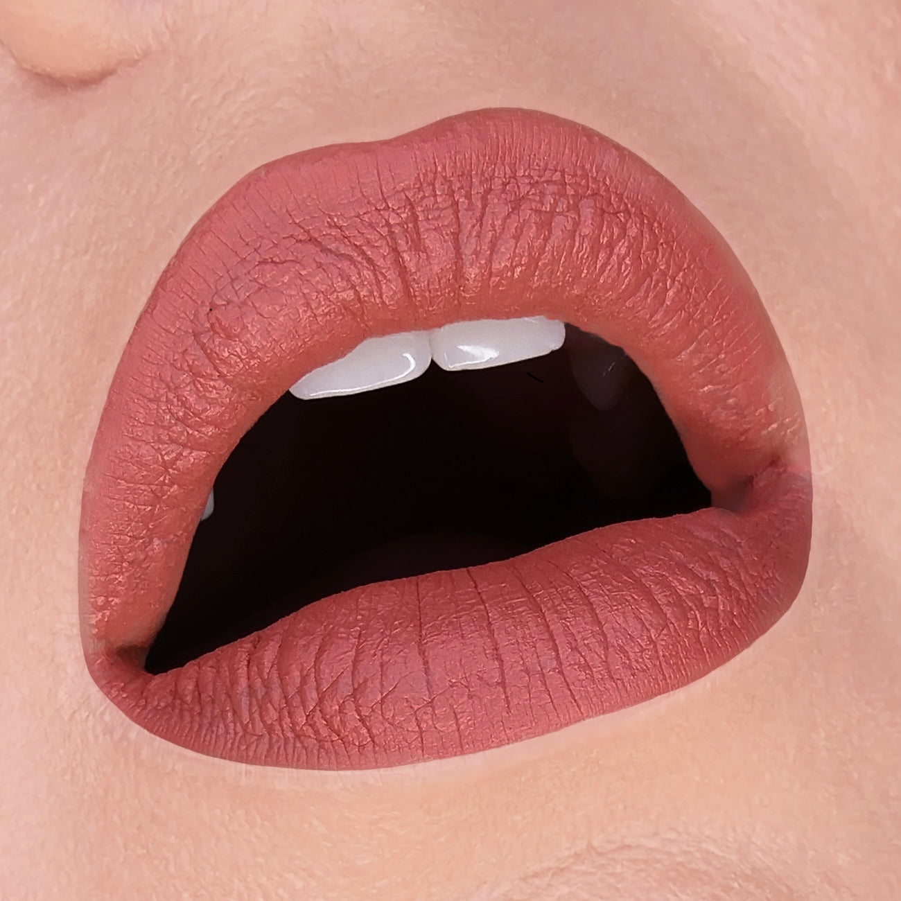 HOLLOWED LIP MUD - HB 454