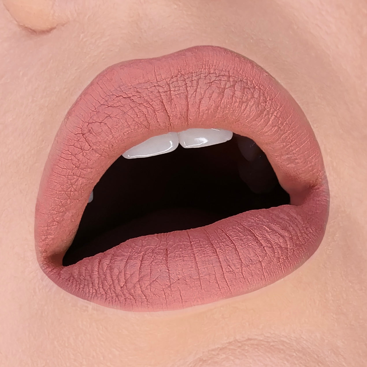 HOLLOWED LIP MUD - HB 487