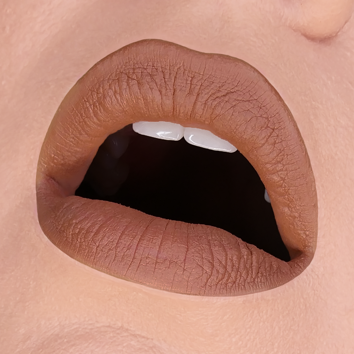 HOLLOWED LIP MUD - HB 345
